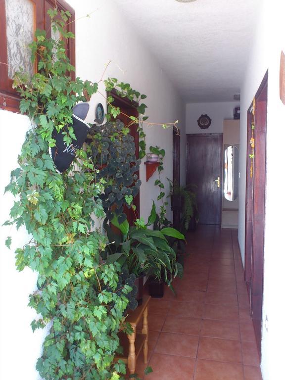 Apartment Leona Senj (Lika-Senj) Exterior foto
