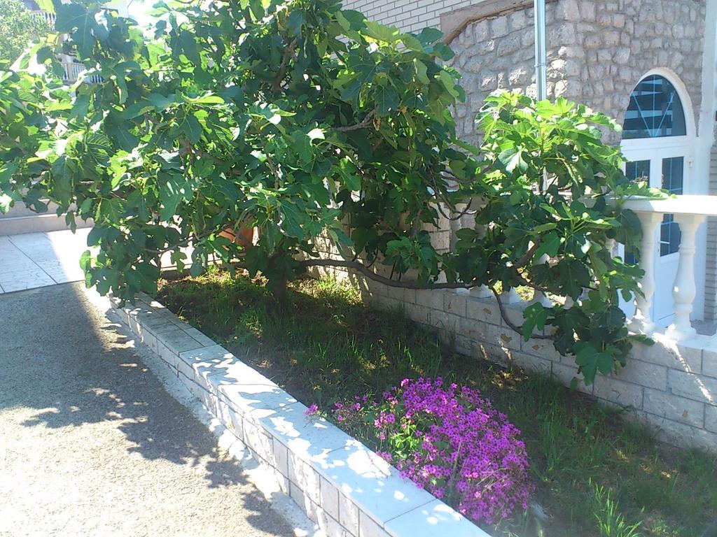 Apartment Leona Senj (Lika-Senj) Exterior foto